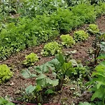 La Bouriotte Semesterbostad