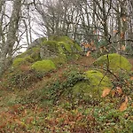 La Bouriotte Semesterbostad Labastide-Rouairoux