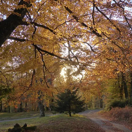 La Bouriotte 펜션 Labastide-Rouairoux