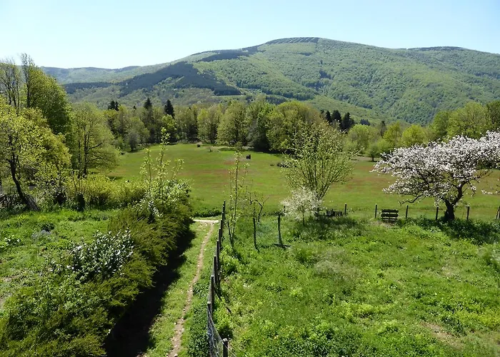 La Bouriotte * Labastide-Rouairoux