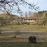 La Bouriotte Labastide-Rouairoux