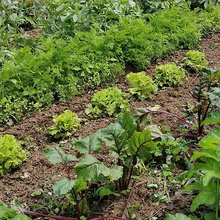 La Bouriotte Дом отдыха