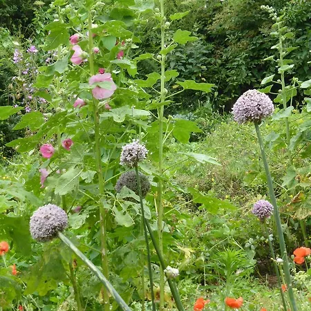 בית נופש La Bouriotte