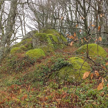 La Bouriotte Дом отдыха Labastide-Rouairoux