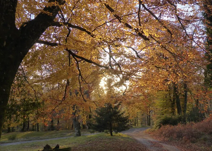 La Bouriotte Semesterbostad Labastide-Rouairoux