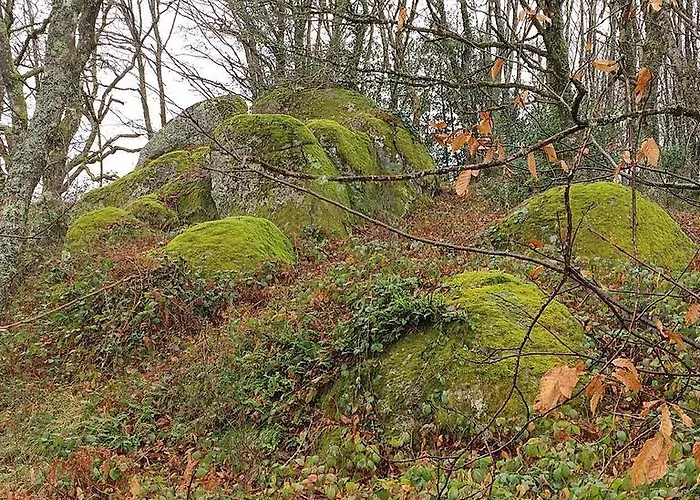 La Bouriotte Semesterbostad Labastide-Rouairoux